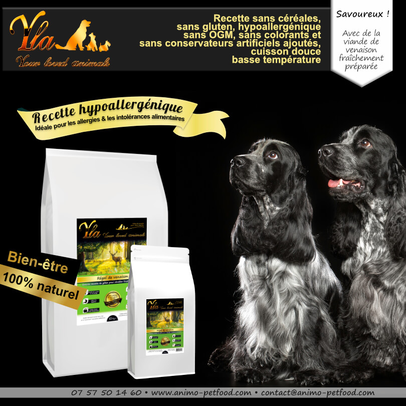 Croquettes pour chien sensible